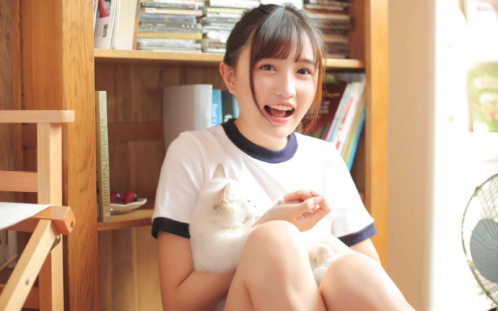 《新兴游戏风格逐渐崛起：卡牌、模拟、策略迎来春天》，卡牌类新游