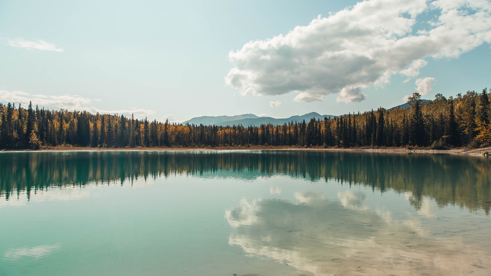 【名将故事】马克·塞尔比：冠军路上的坚持与突破，马克塞尔比的人生经历