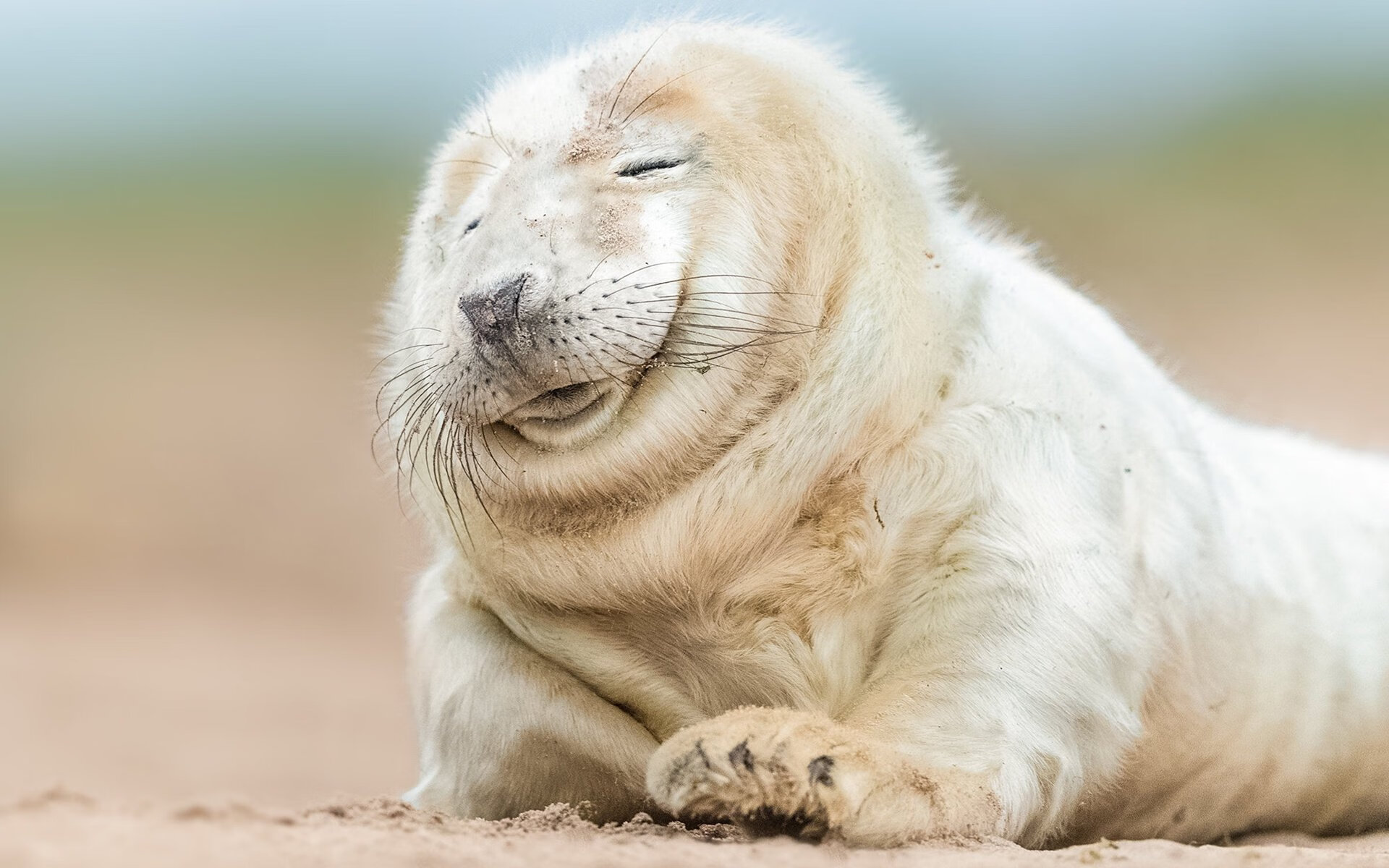 【球迷互动】现场活动点燃比赛热情，球迷活动创意