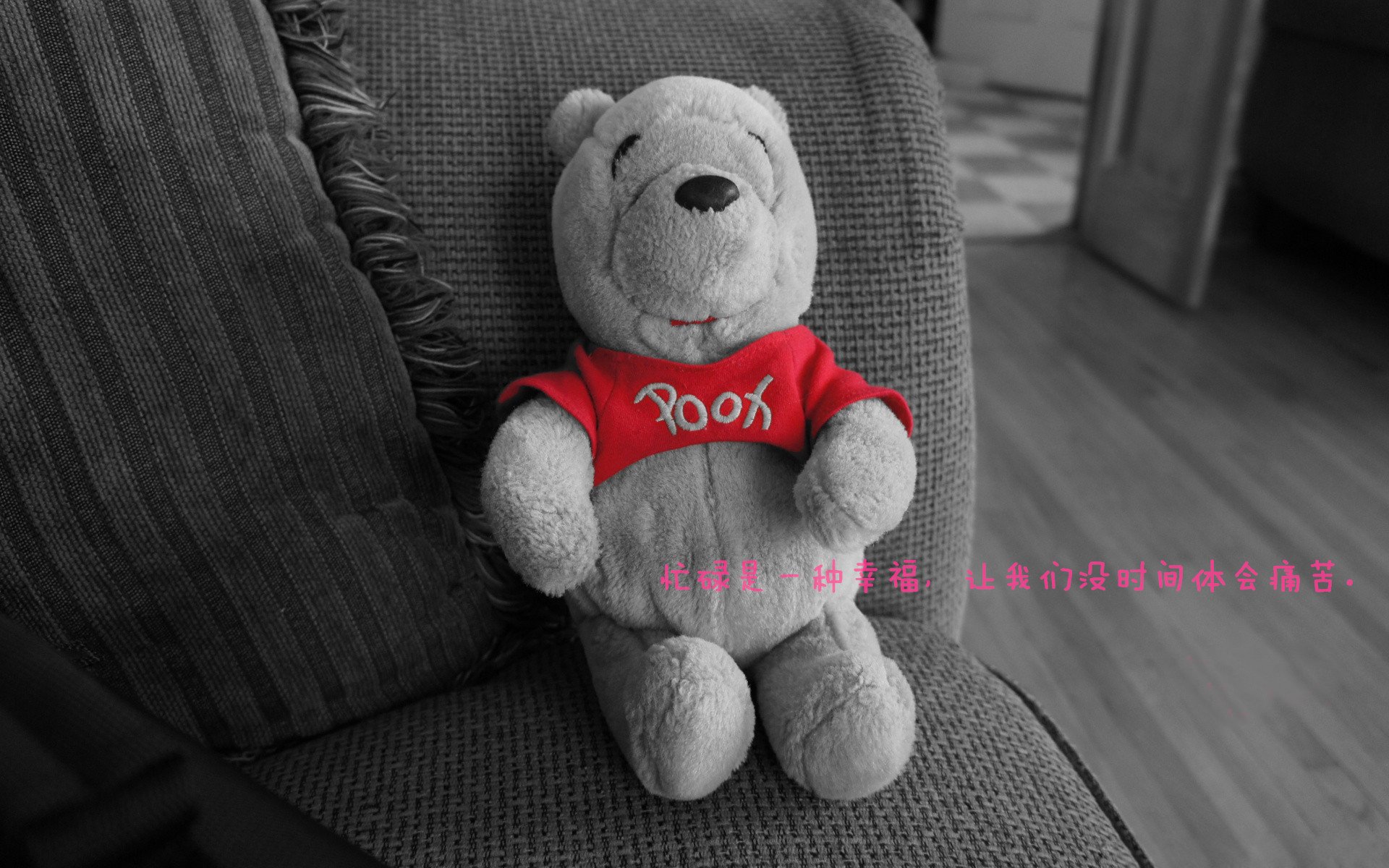 公牛稳步前行！，公牛新品发布