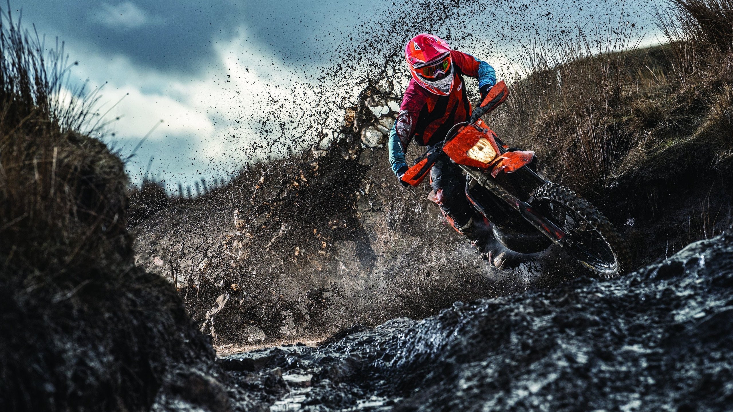 Popovici蝉联男子200 m自由泳金牌